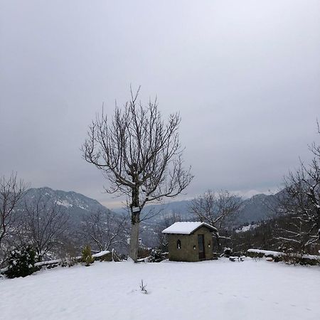 Παραδοσιακή Πέτρινη Κατοικία Στην Βλάχα Ελάτης Bagian luar foto