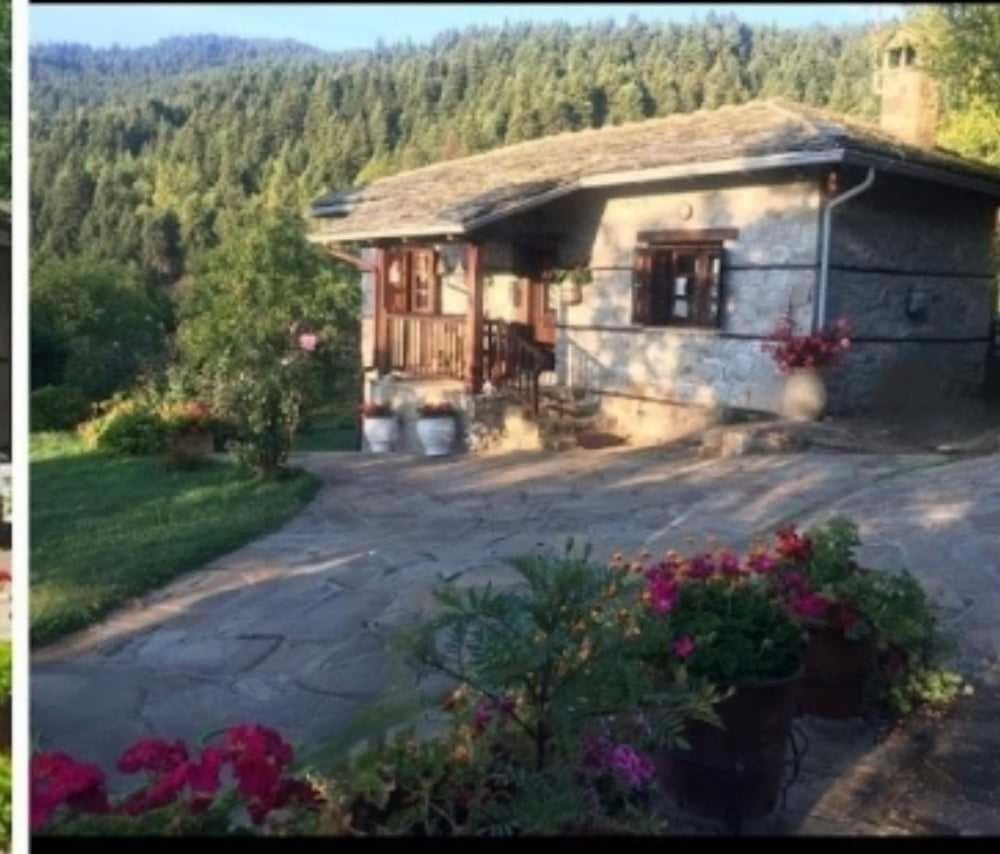 Παραδοσιακή Πέτρινη Κατοικία Στην Βλάχα Ελάτης Bagian luar foto